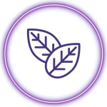 سالت طعم تنباکو